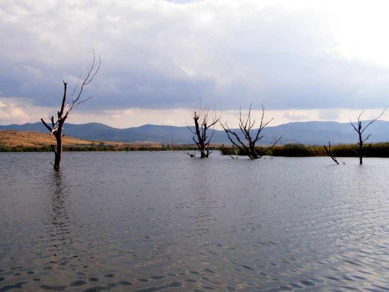 reka Tundja