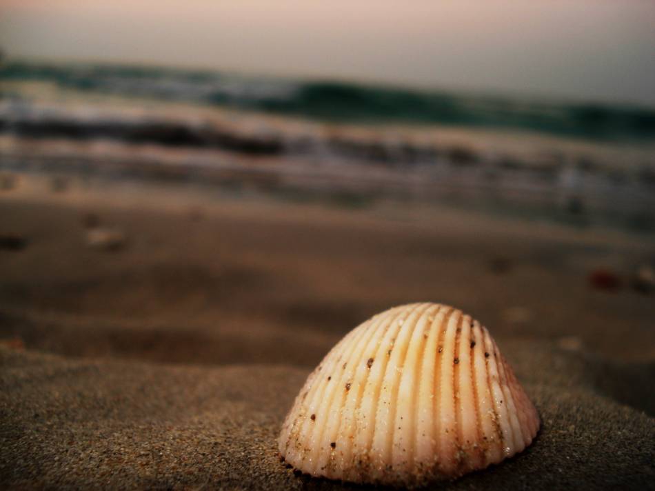 Sands of Dubai