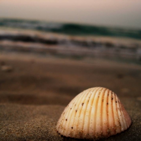Sands of Dubai