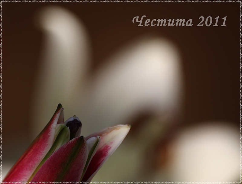 ЧНГ 2011