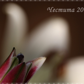 ЧНГ 2011