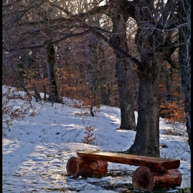 Горски Кът