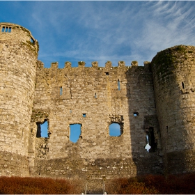 Останките от Carlow castle