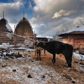 зимни страсти