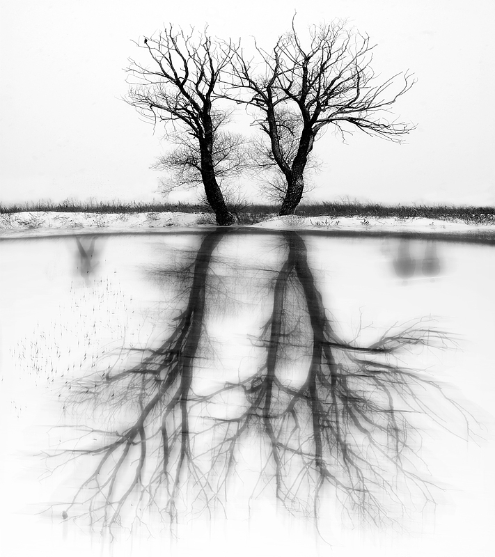 We are Drawing Our Own Reality