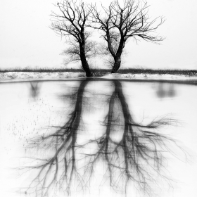 We are Drawing Our Own Reality