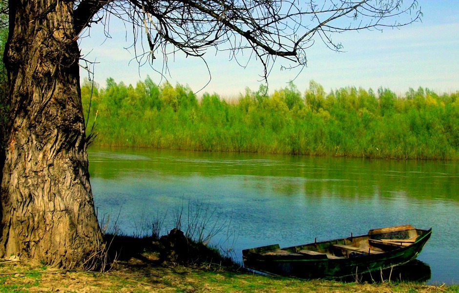 Дунава край Оряхово....