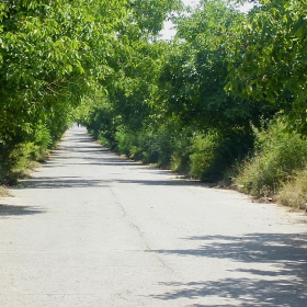 sunny road