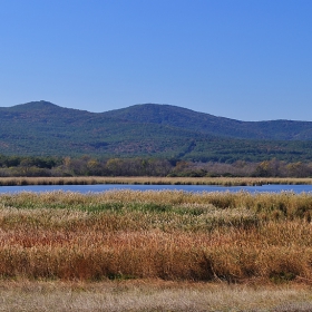 Landscape 2