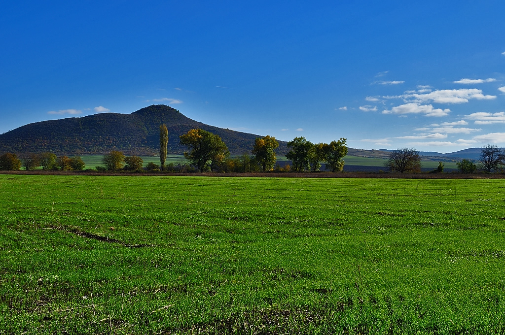 Landscape3