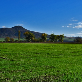 Landscape3