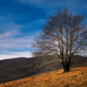 Самотно