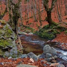 По река Костина, над Рибарица