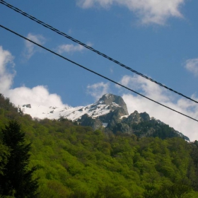 rila
