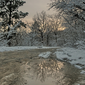 По залез  (23.януари)