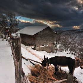 осеновски етюд