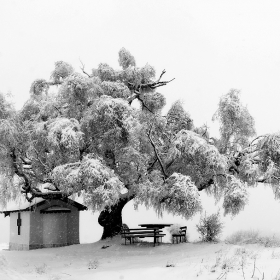 Winter view