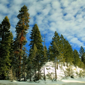 На връщане от Lake Tahoe