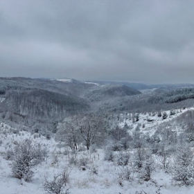 Зимен пейзаж