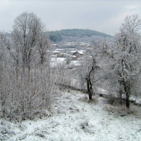 Горско Ново село