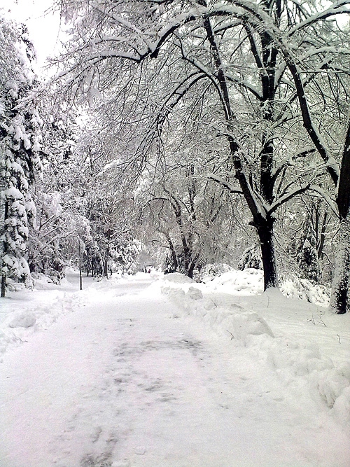 красива,зла зима