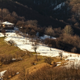 Старопланинско