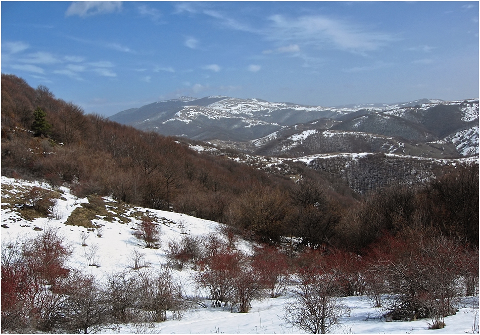 Мургаш 2