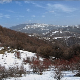Мургаш 2