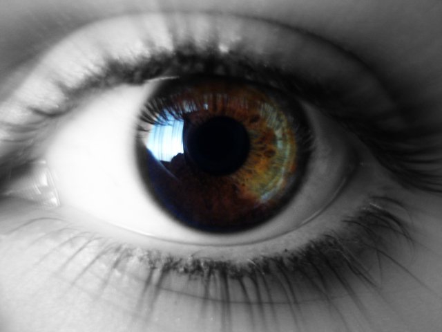 Other dimension.