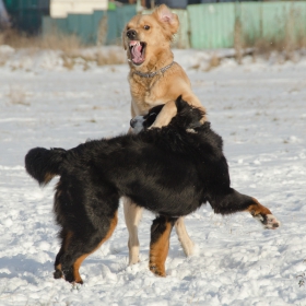 Уф, че си горчив... къпал ли си се скоро