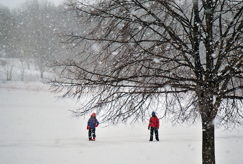 Blizzard