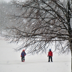 Blizzard