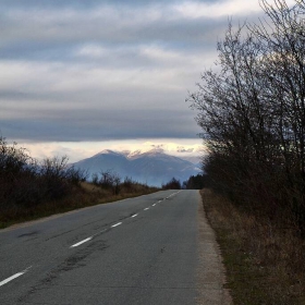 ...Движението е спасение....