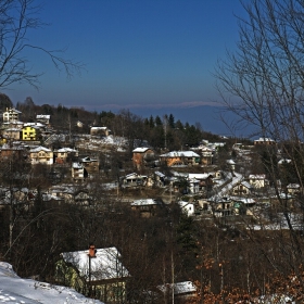 Сгушено сред боровете на върха на планината