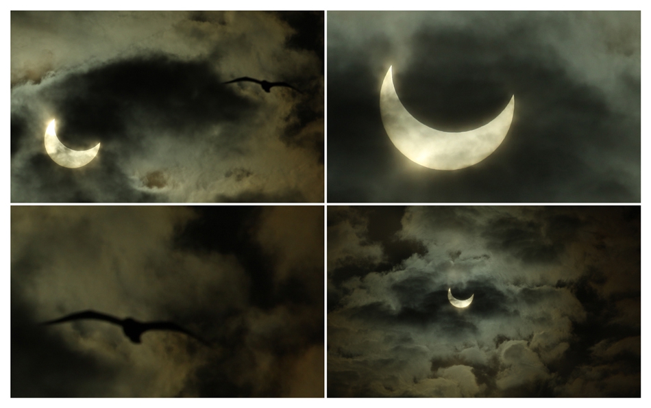 Moon vs Sun