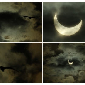 Moon vs Sun