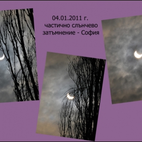 04.01.2011 г. 9.30-10.30 ч.