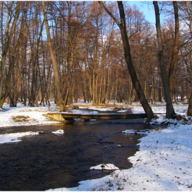 Зимно край рекичката...