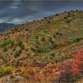 Хълмчета всякякви  -  Colinas varias+Embalse de Canales, Granada