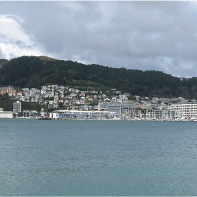 Port Nicholson ,Wellington,New Zealand