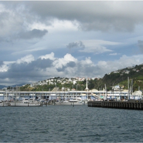 Port Nicholson,Wellington,New Zealand 2
