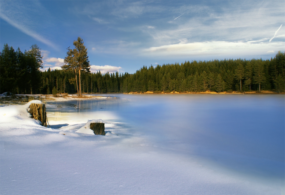 Ледено