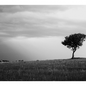 alone again ... so alone again with this emptiness i just can't hide Picture me ... like a lonely tree