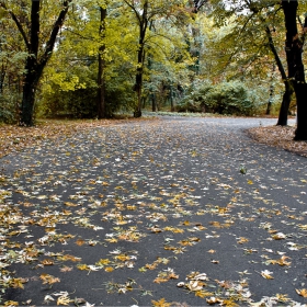 Есенно в парка