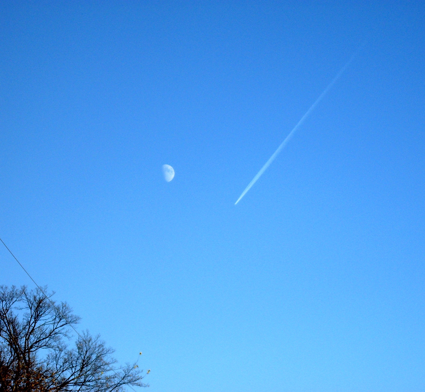 fly me to the moon