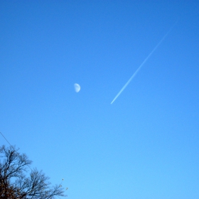 fly me to the moon
