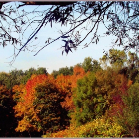 Есенно