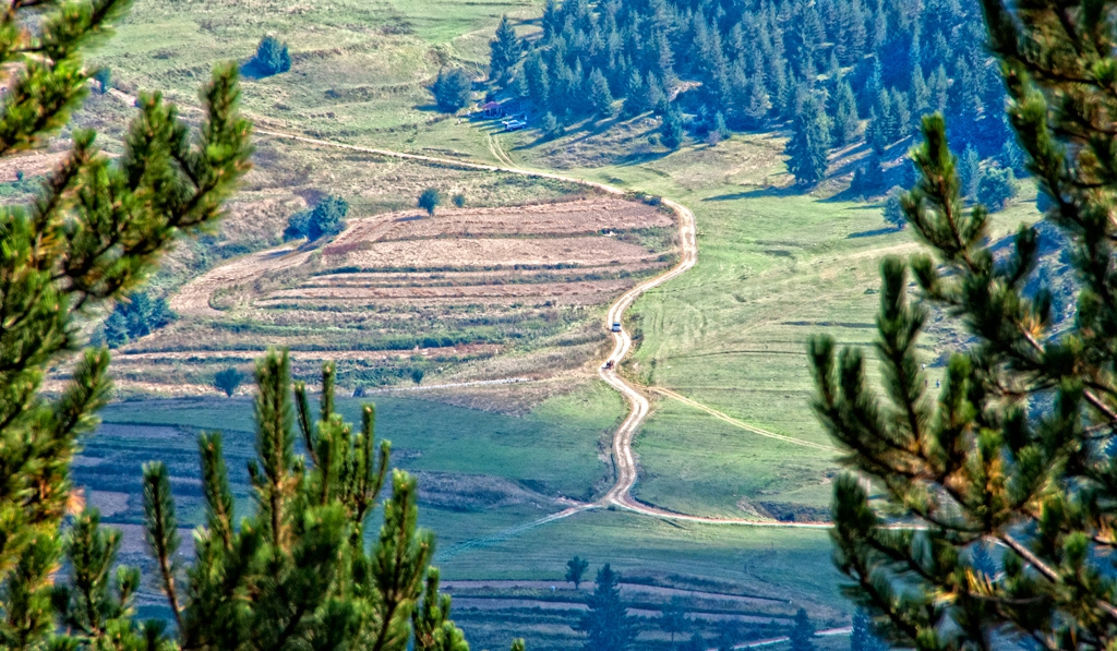 Пътища