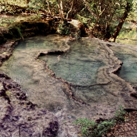 Крушуна