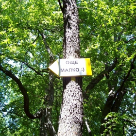 дали да се върна или да продължа ???
